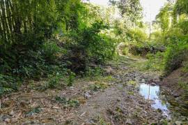 Development Land (Residential) for Sale in Free Hill