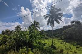 Development Land (Residential) for Sale in Free Hill