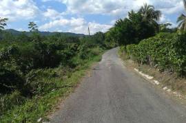 Development Land (Residential) for Sale in Free Hill