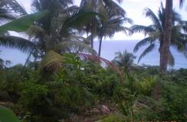 Development Land (Residential) for Sale in Buff Bay