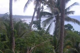 Development Land (Residential) for Sale in Buff Bay