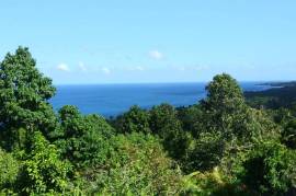 Development Land (Residential) for Sale in Buff Bay