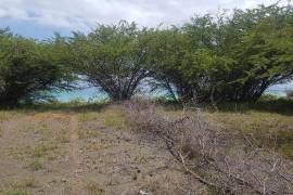 Development Land (Residential) for Sale in Yallahs