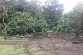 Development Land (Residential) for Sale in Buff Bay