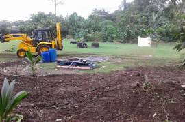 Development Land (Residential) for Sale in Buff Bay