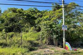 Development Land (Residential) for Sale in St. Ann's Bay