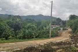 Development Land (Residential) for Sale in Clarks Town