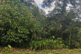 Development Land (Residential) for Sale in Clarks Town