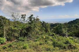 Development Land (Residential) for Sale in Red Hills