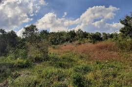 Development Land (Residential) for Sale in Red Hills