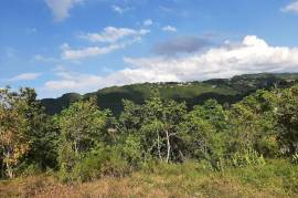 Development Land (Residential) for Sale in Red Hills