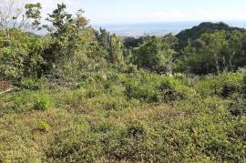 Development Land (Residential) for Sale in Red Hills