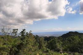 Development Land (Residential) for Sale in Red Hills