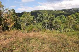 Development Land (Residential) for Sale in Red Hills