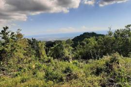 Development Land (Residential) for Sale in Red Hills