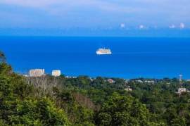 Development Land (Residential) for Sale in Ocho Rios