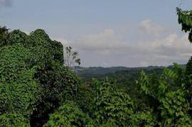 Development Land (Residential) for Sale in Ocho Rios