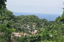 Development Land (Residential) for Sale in Ocho Rios