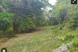 Development Land (Residential) for Sale in Anchovy