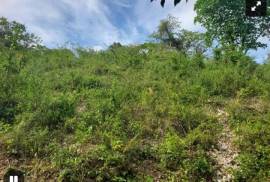 Development Land (Residential) for Sale in Anchovy