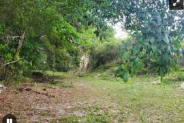 Development Land (Residential) for Sale in Anchovy