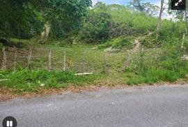 Development Land (Residential) for Sale in Anchovy