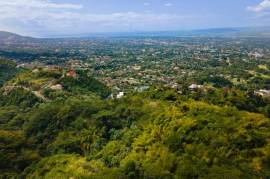 Development Land (Residential) for Sale in Kingston 8