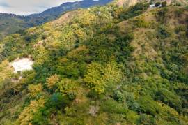 Development Land (Residential) for Sale in Kingston 8