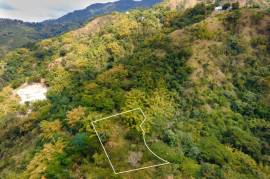 Development Land (Residential) for Sale in Kingston 8