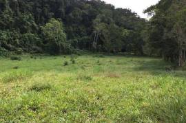 Development Land (Residential) for Sale in Bamboo