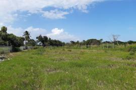 Development Land (Residential) for Sale in Bushy Park