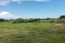 Development Land (Residential) for Sale in Bushy Park