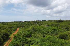 Development Land (Residential) for Sale in Spanish Town