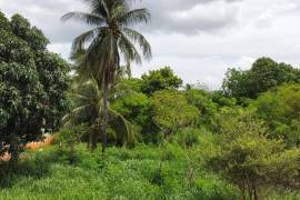 Development Land (Residential) for Sale in Spanish Town