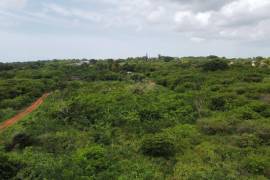 Development Land (Residential) for Sale in Spanish Town