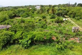 Development Land (Residential) for Sale in Spanish Town