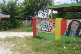 Development Land (Residential) for Sale in Green Island