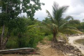 Development Land (Residential) for Sale in Green Island