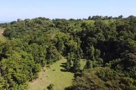 Development Land (Residential) for Sale in Union Hill