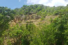 Development Land (Residential) for Sale in Annotto Bay