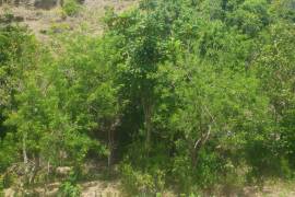 Development Land (Residential) for Sale in Annotto Bay