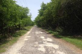 Development Land (Residential) for Sale in Negril