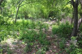 Development Land (Residential) for Sale in Negril