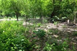 Development Land (Residential) for Sale in Negril