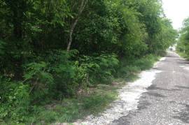 Development Land (Residential) for Sale in Negril