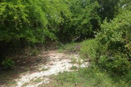 Development Land (Residential) for Sale in Negril