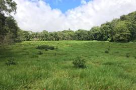 Development Land (Residential) for Sale in Bamboo