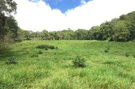 Development Land (Residential) for Sale in Bamboo