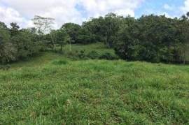 Development Land (Residential) for Sale in Bamboo