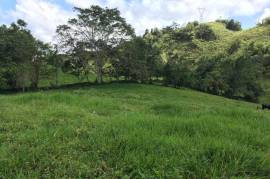 Development Land (Residential) for Sale in Bamboo